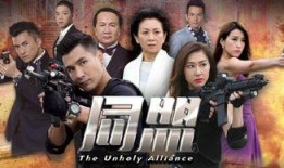 同盟粤语16在线观看,在线观看解锁精彩剧情，共赴热血征程